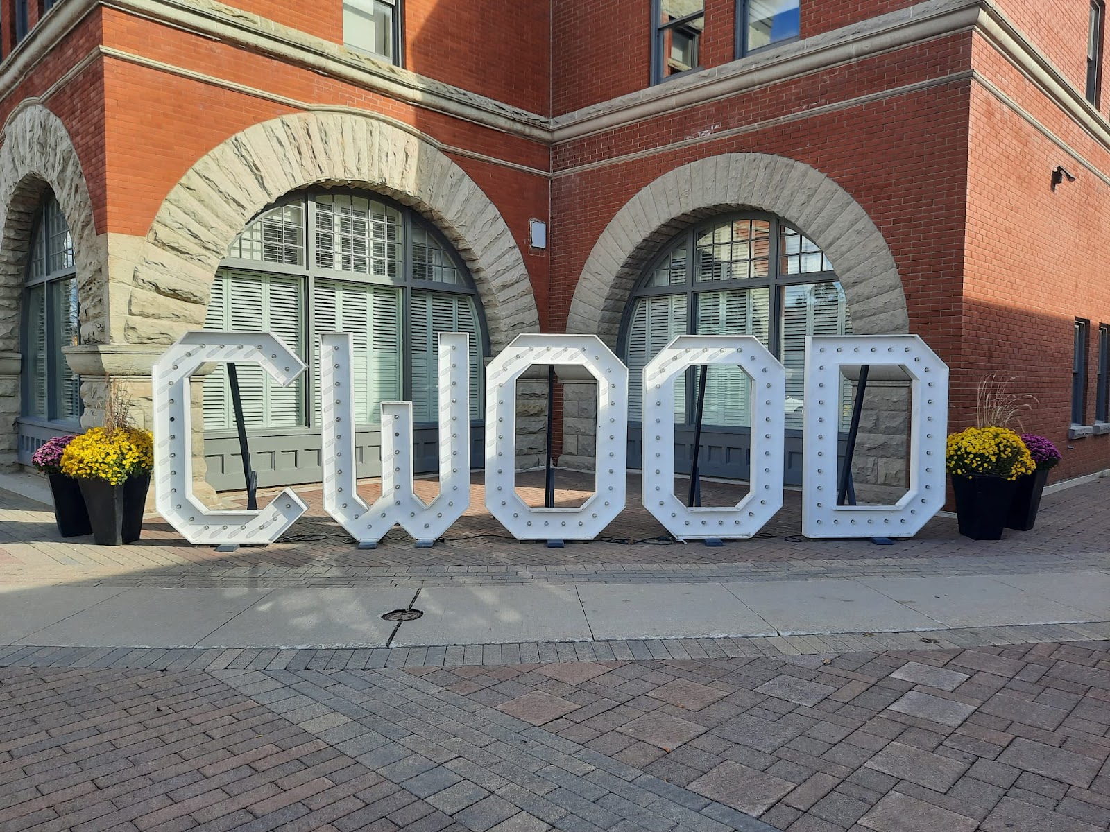 Blue Mountain Tea Company featured