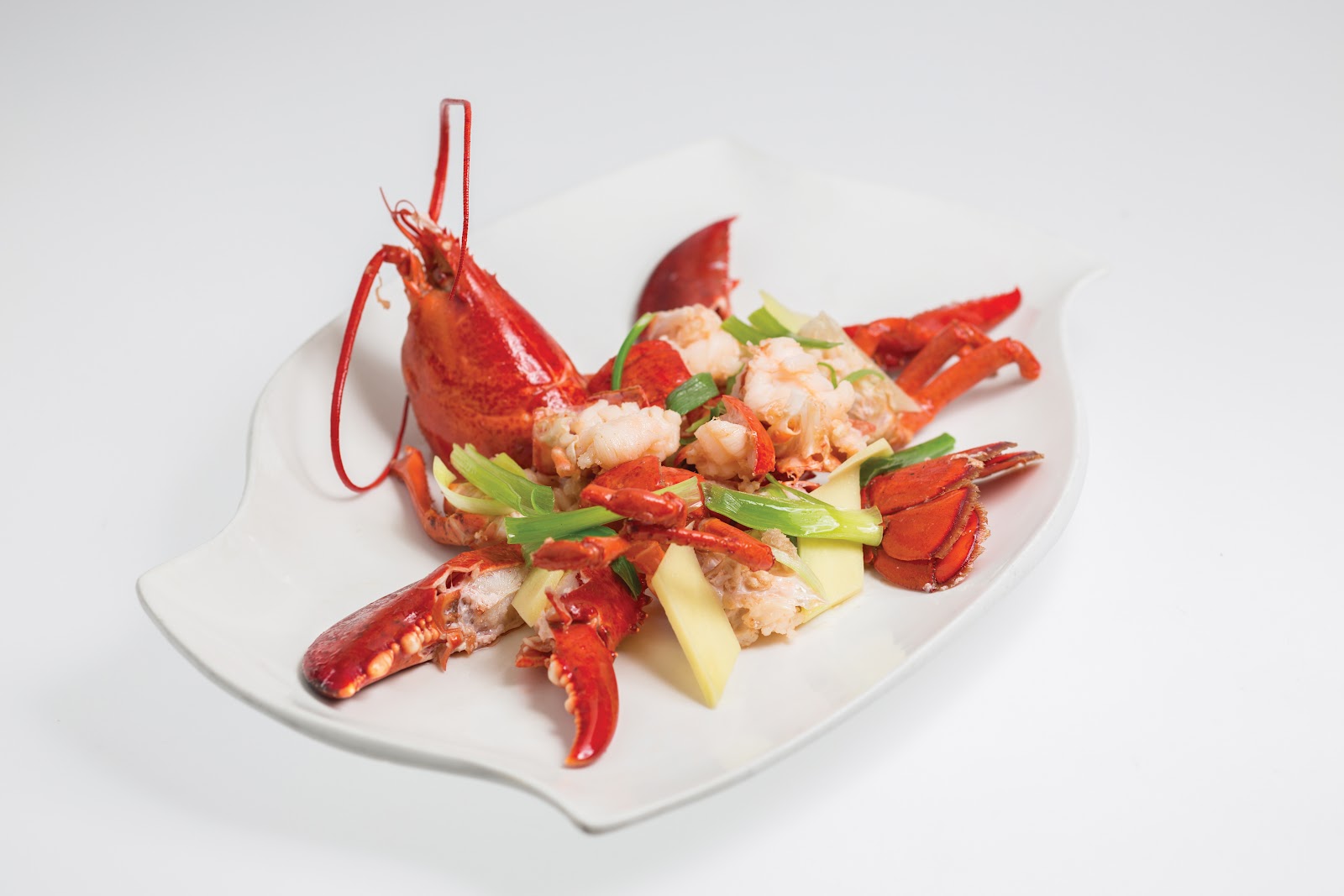 Dynasty Chinese Cuisine photo 2