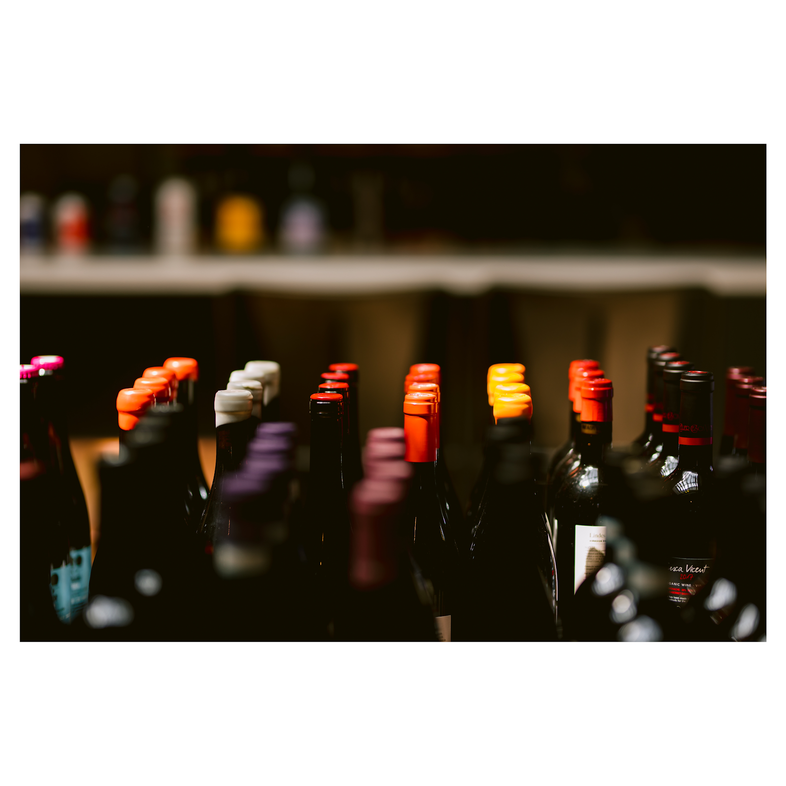 Gibson & Company featured