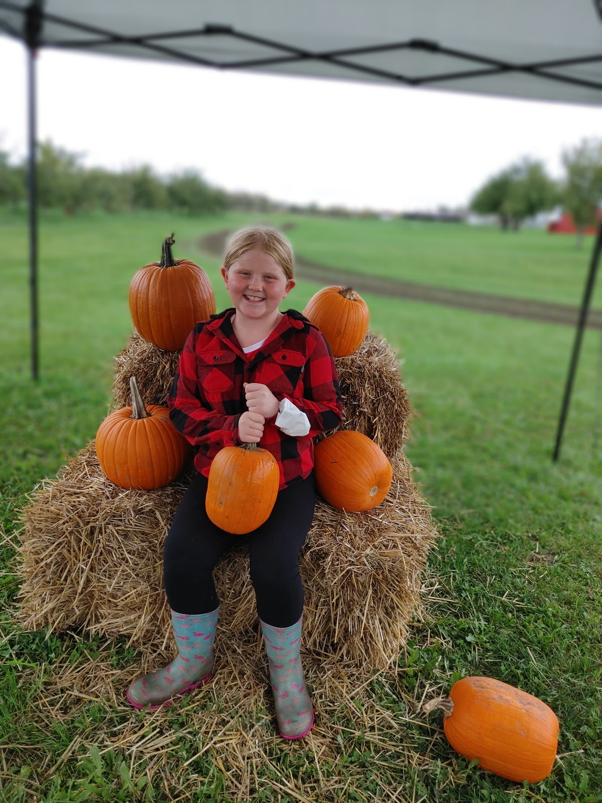 Grills Orchards photo 4