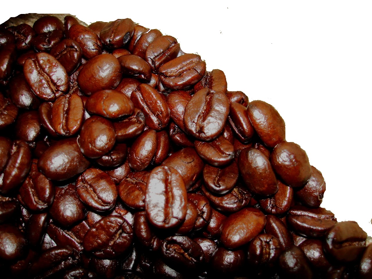 Kyoto Coffee photo 2