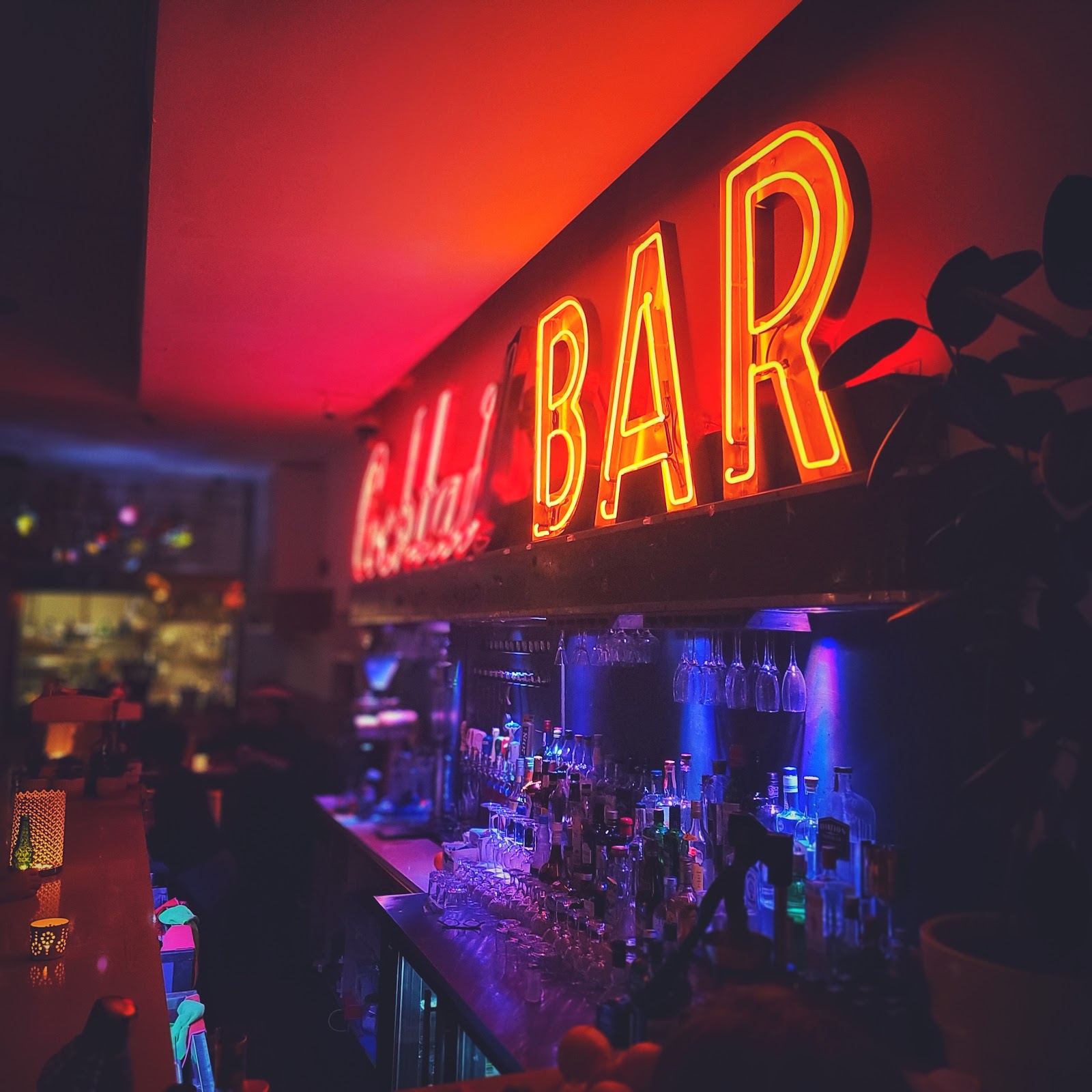 Nunu Ethiopian Fusion photo 3