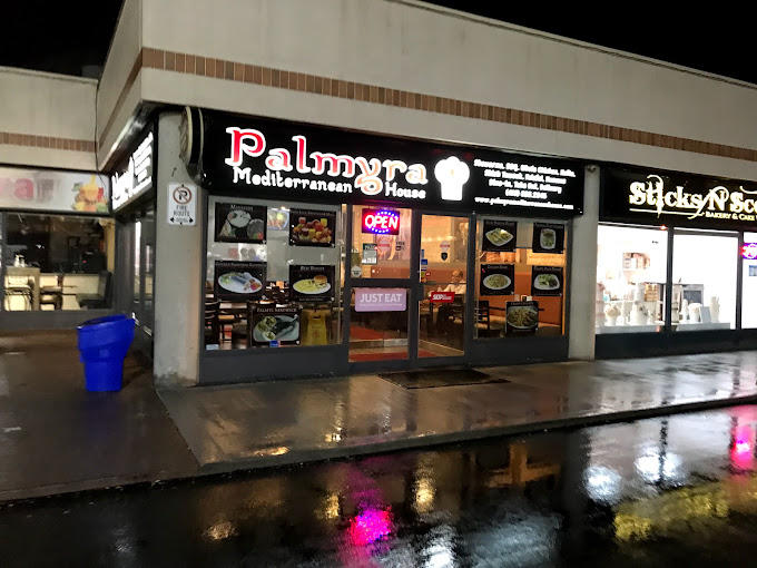 Palmyra Mediterranean House photo 1