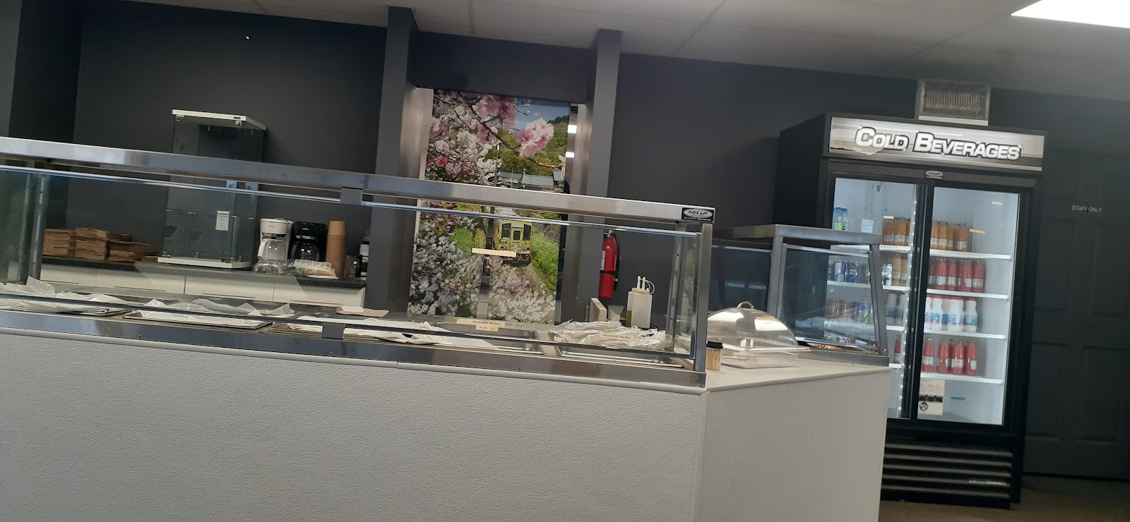 Tacheena Middle Eastern Cuisine photo 5