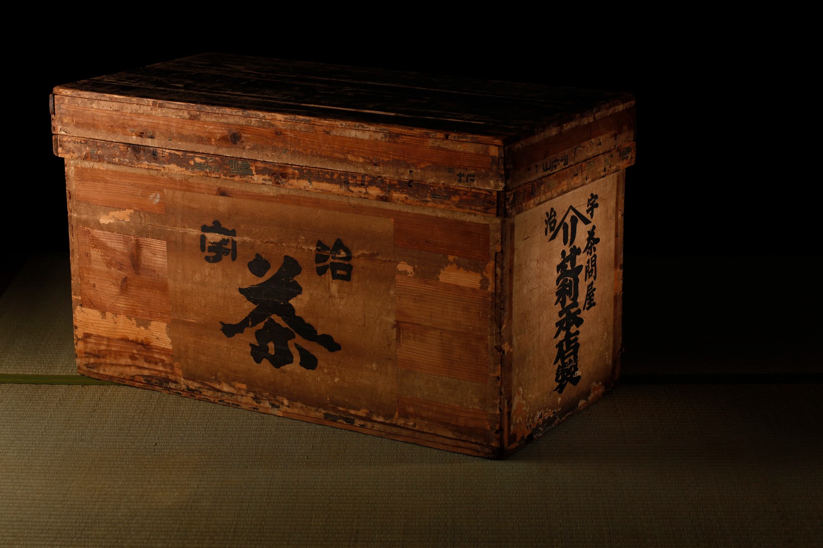 Tsujiri Dundas photo 2