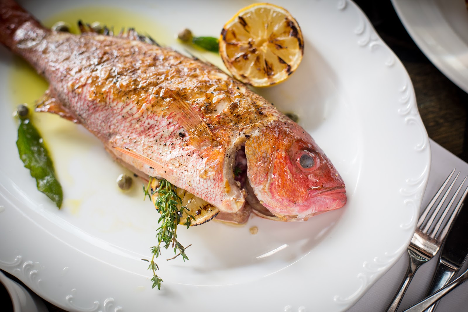 Volos Greek Cuisine photo 2