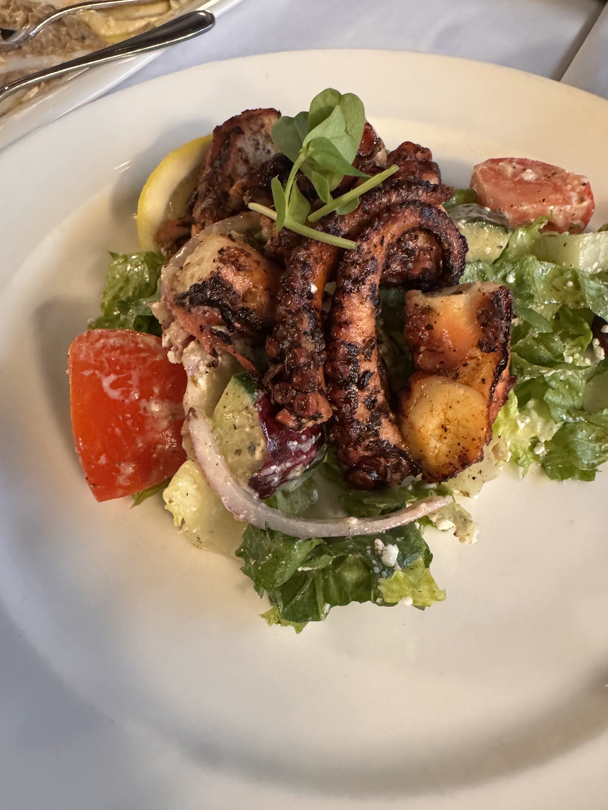 Volos Greek Cuisine photo 5